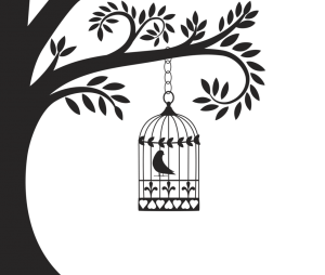 Cage bird PNG-41399